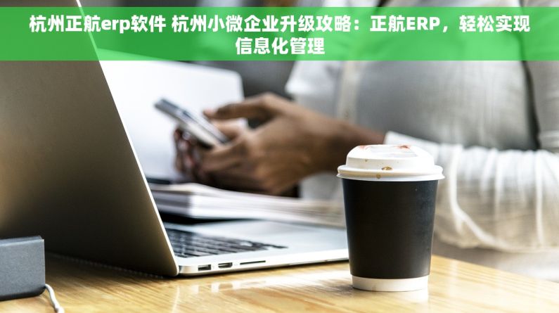 杭州正航erp软件 杭州小微企业升级攻略：正航ERP，轻松实现信息化管理