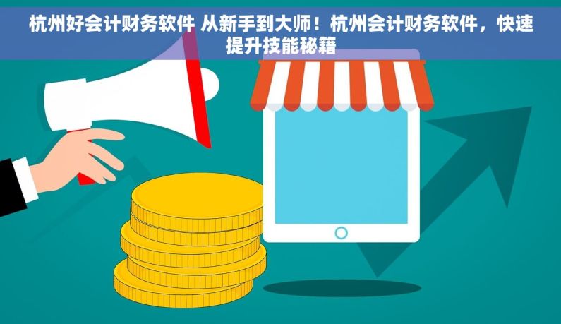 杭州好会计财务软件 从新手到大师！杭州会计财务软件，快速提升技能秘籍