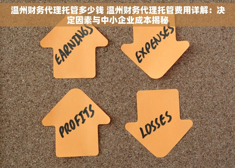 温州财务代理托管多少钱 温州财务代理托管费用详解：决定因素与中小企业成本揭秘