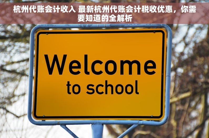 杭州代账会计收入 最新杭州代账会计税收优惠，你需要知道的全解析