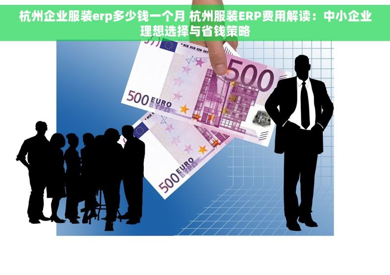 杭州企业服装erp多少钱一个月 杭州服装ERP费用解读：中小企业理想选择与省钱策略