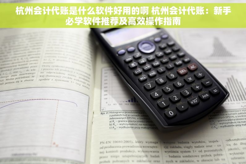 杭州会计代账是什么软件好用的啊 杭州会计代账：新手必学软件推荐及高效操作指南