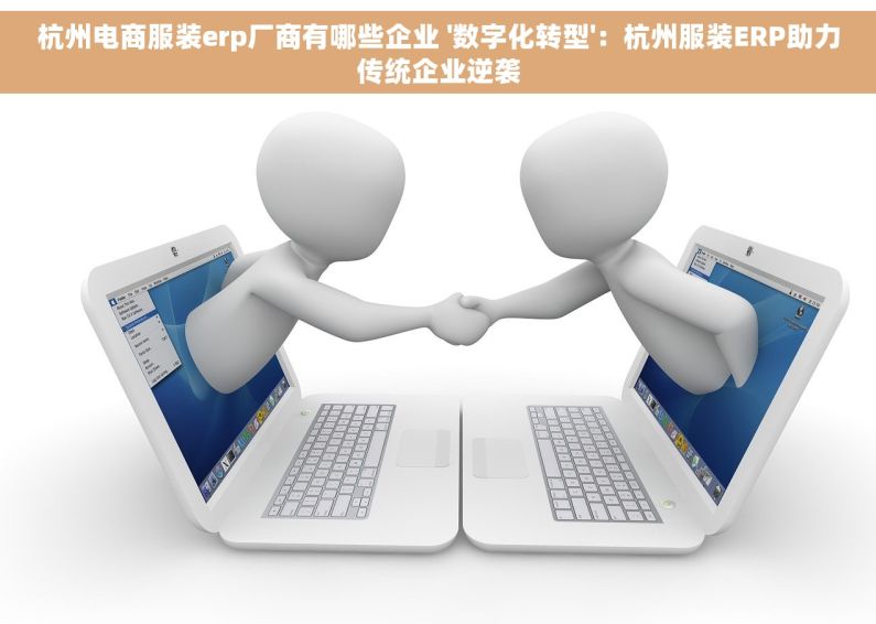 杭州电商服装erp厂商有哪些企业 '数字化转型'：杭州服装ERP助力传统企业逆袭
