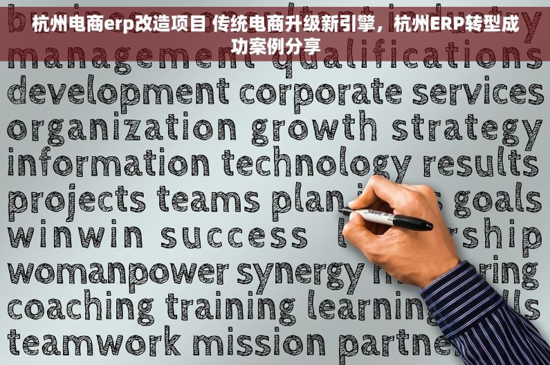 杭州电商erp改造项目 传统电商升级新引擎，杭州ERP转型成功案例分享
