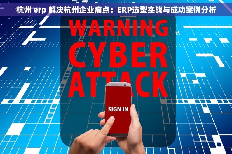 杭州 erp 解决杭州企业痛点：ERP选型实战与成功案例分析
