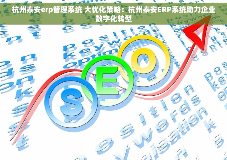 杭州泰安erp管理系统 大优化策略：杭州泰安ERP系统助力企业数字化转型
