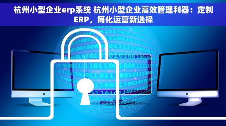 杭州小型企业erp系统 杭州小型企业高效管理利器：定制ERP，简化运营新选择