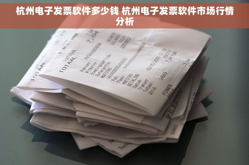 杭州电子发票软件多少钱 杭州电子发票软件市场行情分析