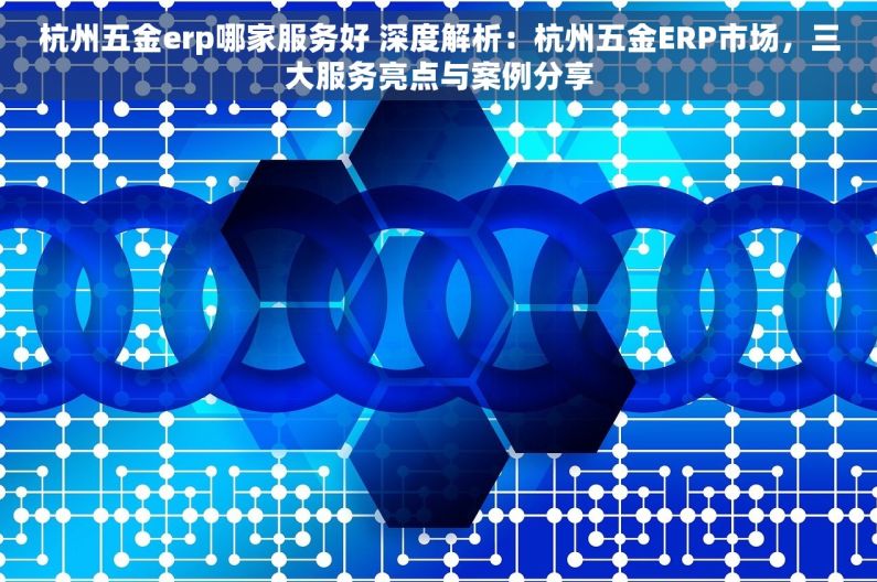 杭州五金erp哪家服务好 深度解析：杭州五金ERP市场，三大服务亮点与案例分享