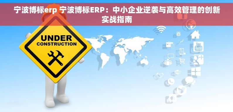 宁波博标erp 宁波博标ERP：中小企业逆袭与高效管理的创新实战指南