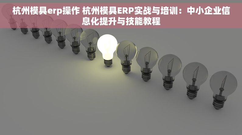 杭州模具erp操作 杭州模具ERP实战与培训：中小企业信息化提升与技能教程