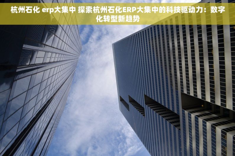 杭州石化 erp大集中 探索杭州石化ERP大集中的科技驱动力：数字化转型新趋势