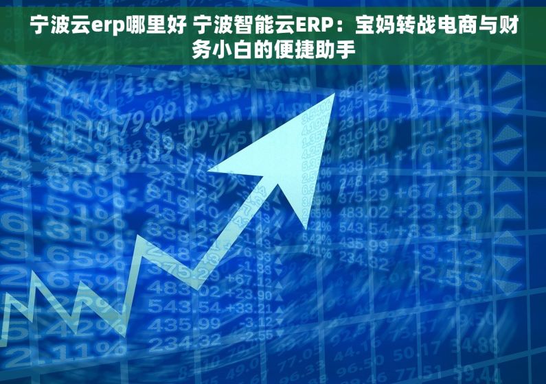 宁波云erp哪里好 宁波智能云ERP：宝妈转战电商与财务小白的便捷助手