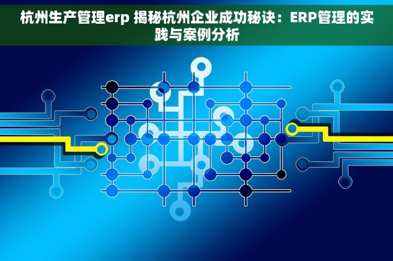 杭州生产管理erp 揭秘杭州企业成功秘诀：ERP管理的实践与案例分析