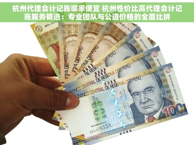 杭州代理会计记账哪家便宜 杭州性价比高代理会计记账服务精选：专业团队与公道价格的全面比拼