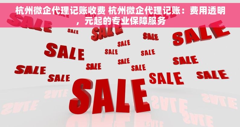 杭州微企代理记账收费 杭州微企代理记账：费用透明，元起的专业保障服务