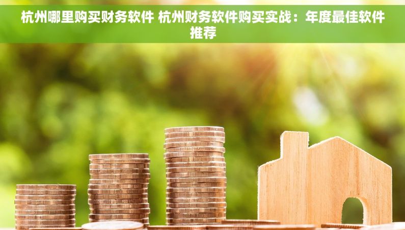 杭州哪里购买财务软件 杭州财务软件购买实战：年度最佳软件推荐