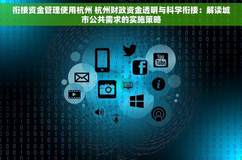 衔接资金管理使用杭州 杭州财政资金透明与科学衔接：解读城市公共需求的实施策略