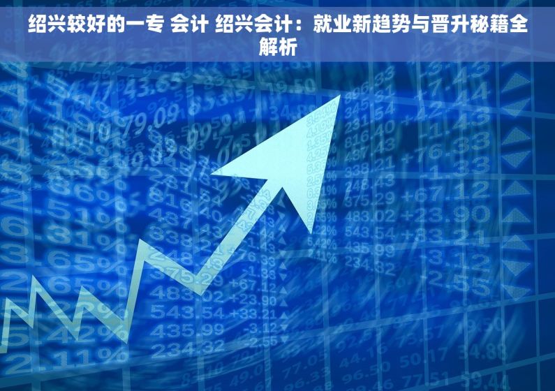 绍兴较好的一专 会计 绍兴会计：就业新趋势与晋升秘籍全解析