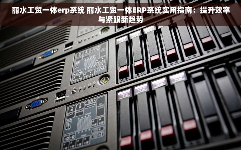 丽水工贸一体erp系统 丽水工贸一体ERP系统实用指南：提升效率与紧跟新趋势