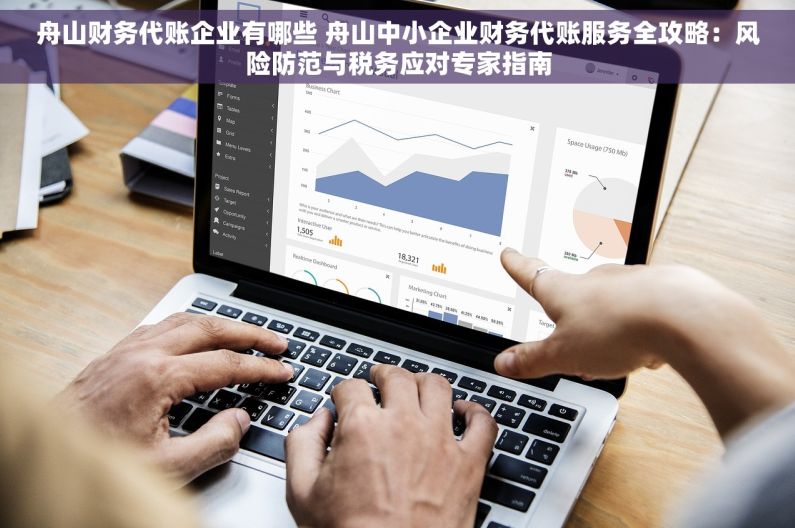 舟山财务代账企业有哪些 舟山中小企业财务代账服务全攻略：风险防范与税务应对专家指南