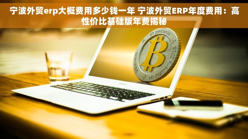 宁波外贸erp大概费用多少钱一年 宁波外贸ERP年度费用：高性价比基础版年费揭秘