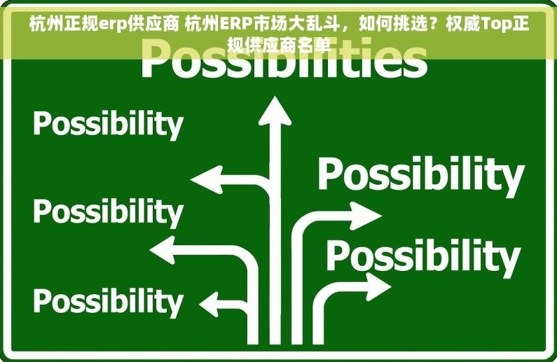 杭州正规erp供应商 杭州ERP市场大乱斗，如何挑选？权威Top正规供应商名单