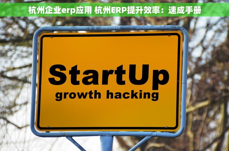杭州企业erp应用 杭州ERP提升效率：速成手册