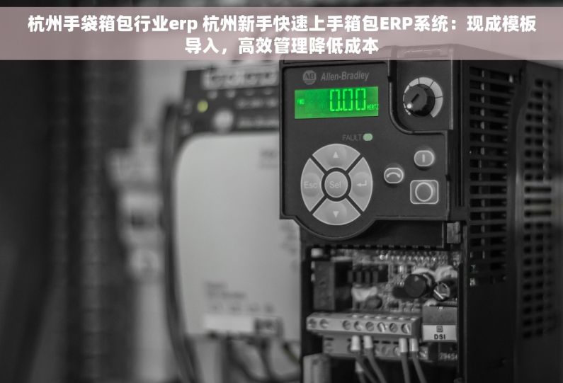 杭州手袋箱包行业erp 杭州新手快速上手箱包ERP系统：现成模板导入，高效管理降低成本