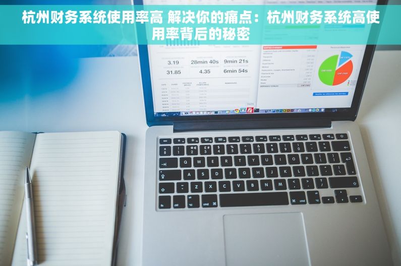 杭州财务系统使用率高 解决你的痛点：杭州财务系统高使用率背后的秘密