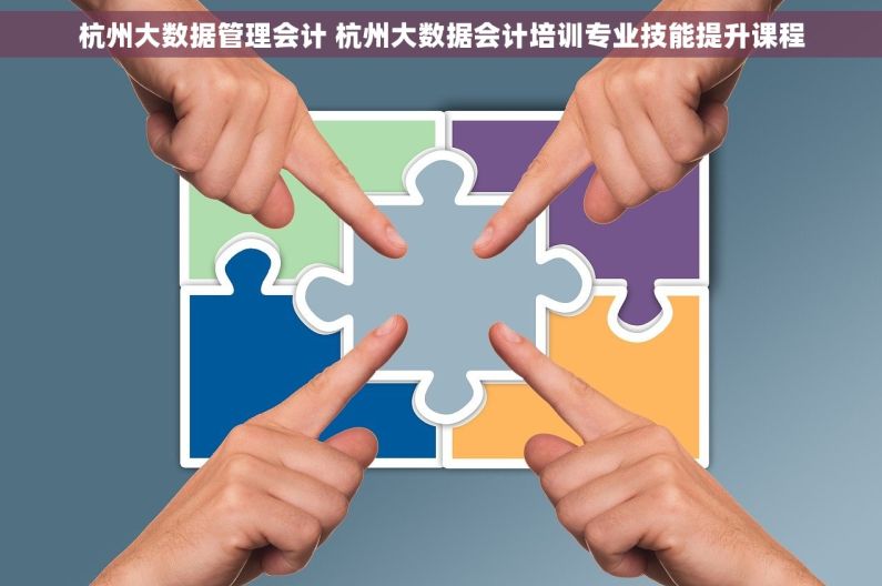 杭州大数据管理会计 杭州大数据会计培训专业技能提升课程