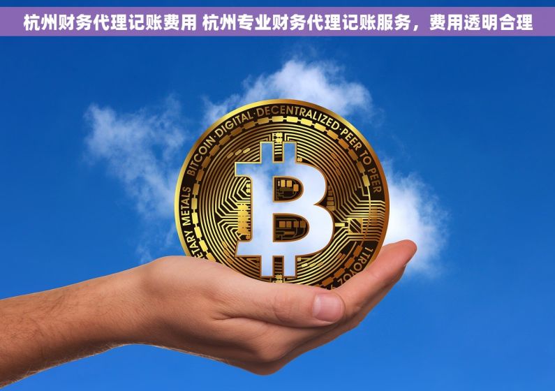 杭州财务代理记账费用 杭州专业财务代理记账服务，费用透明合理