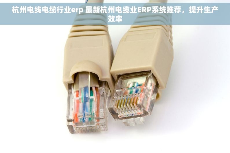 杭州电线电缆行业erp 最新杭州电缆业ERP系统推荐，提升生产效率