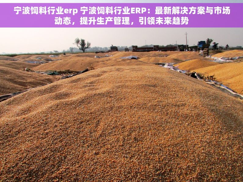 宁波饲料行业erp 宁波饲料行业ERP：最新解决方案与市场动态，提升生产管理，引领未来趋势