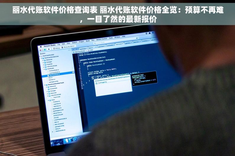 丽水代账软件价格查询表 丽水代账软件价格全览：预算不再难，一目了然的最新报价