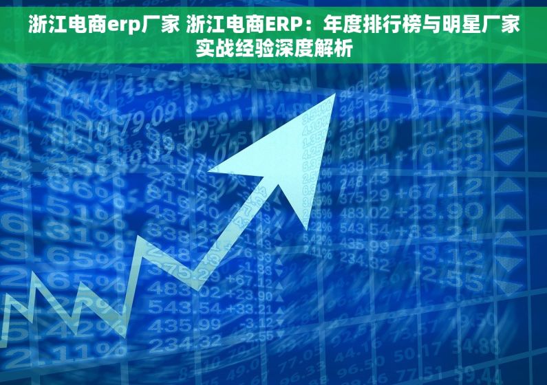 浙江电商erp厂家 浙江电商ERP：年度排行榜与明星厂家实战经验深度解析