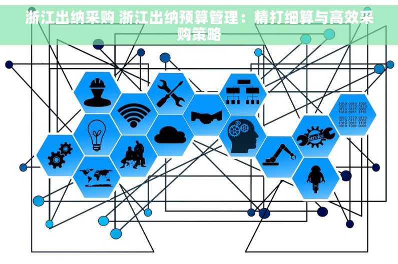 浙江出纳采购 浙江出纳预算管理：精打细算与高效采购策略