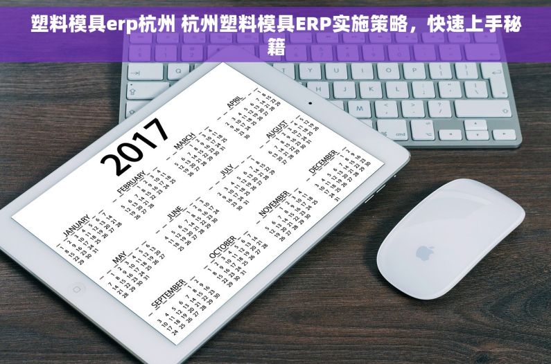 塑料模具erp杭州 杭州塑料模具ERP实施策略，快速上手秘籍
