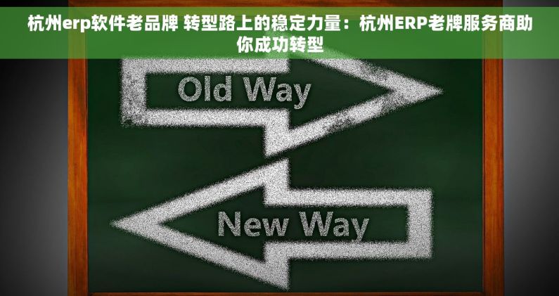 杭州erp软件老品牌 转型路上的稳定力量：杭州ERP老牌服务商助你成功转型