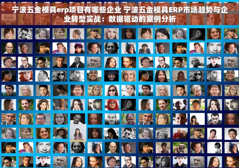 宁波五金模具erp项目有哪些企业 宁波五金模具ERP市场趋势与企业转型实战：数据驱动的案例分析