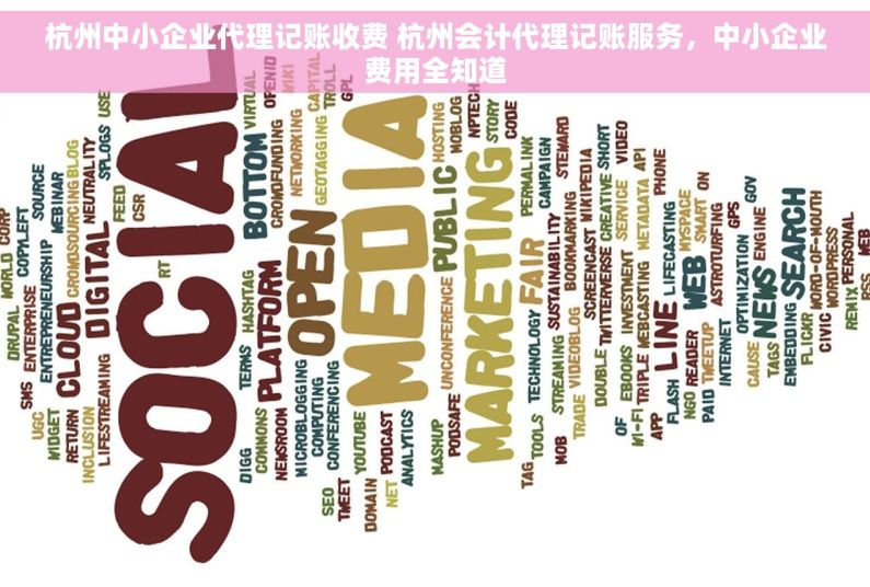 杭州中小企业代理记账收费 杭州会计代理记账服务，中小企业费用全知道