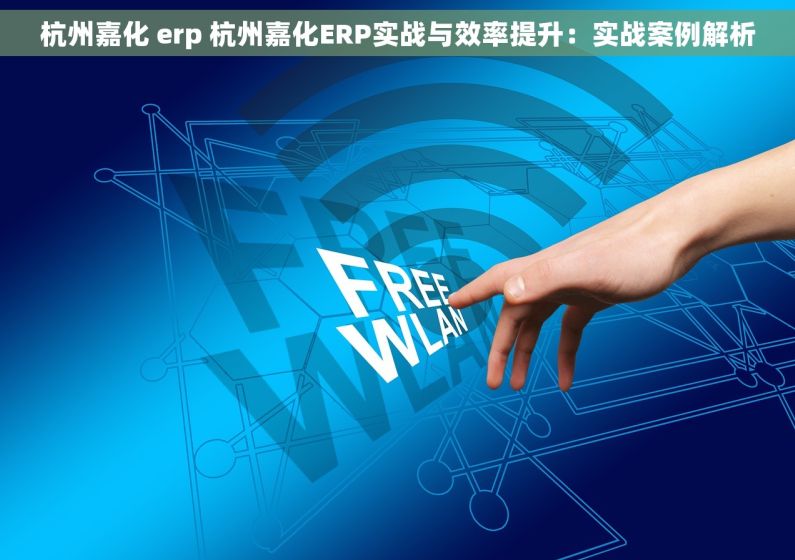 杭州嘉化 erp 杭州嘉化ERP实战与效率提升：实战案例解析