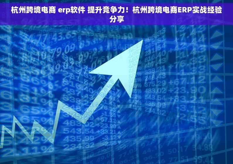 杭州跨境电商 erp软件 提升竞争力！杭州跨境电商ERP实战经验分享