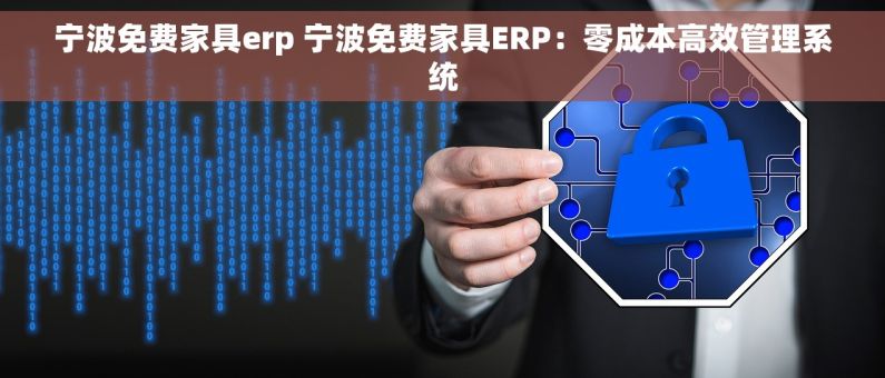 宁波免费家具erp 宁波免费家具ERP：零成本高效管理系统