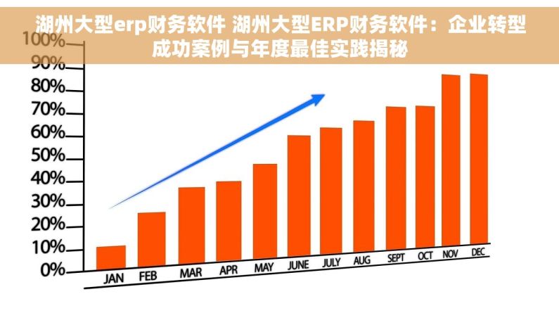 湖州大型erp财务软件 湖州大型ERP财务软件：企业转型成功案例与年度最佳实践揭秘