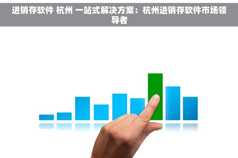 进销存软件 杭州 一站式解决方案：杭州进销存软件市场领导者