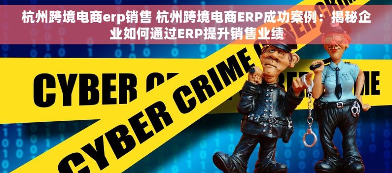 杭州跨境电商erp销售 杭州跨境电商ERP成功案例：揭秘企业如何通过ERP提升销售业绩