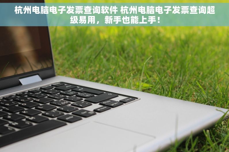 杭州电脑电子发票查询软件 杭州电脑电子发票查询超级易用，新手也能上手！