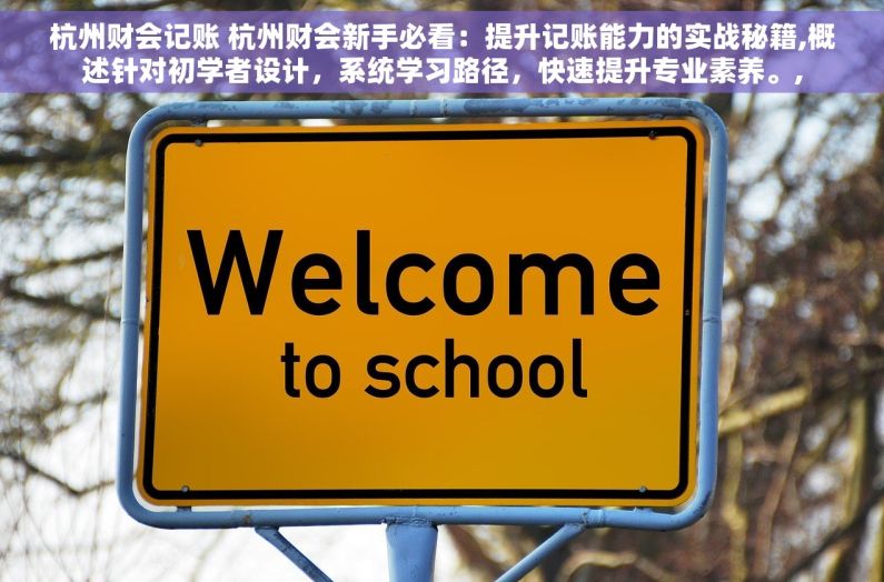 杭州财会记账 杭州财会新手必看：提升记账能力的实战秘籍,概述针对初学者设计，系统学习路径，快速提升专业素养。,