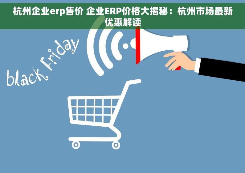 杭州企业erp售价 企业ERP价格大揭秘：杭州市场最新优惠解读